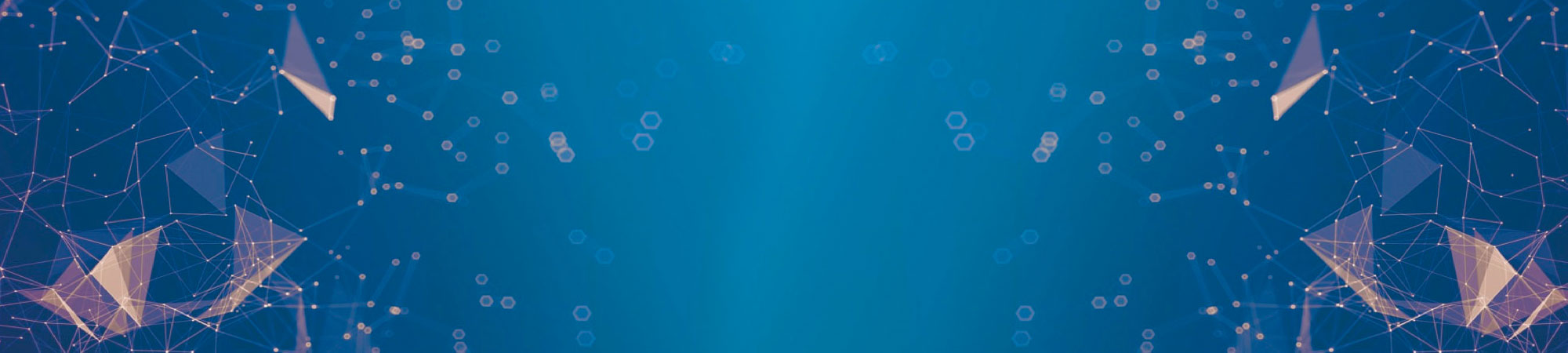 Bluzelle website development by Hammerhead Vancouver Web Design Agency