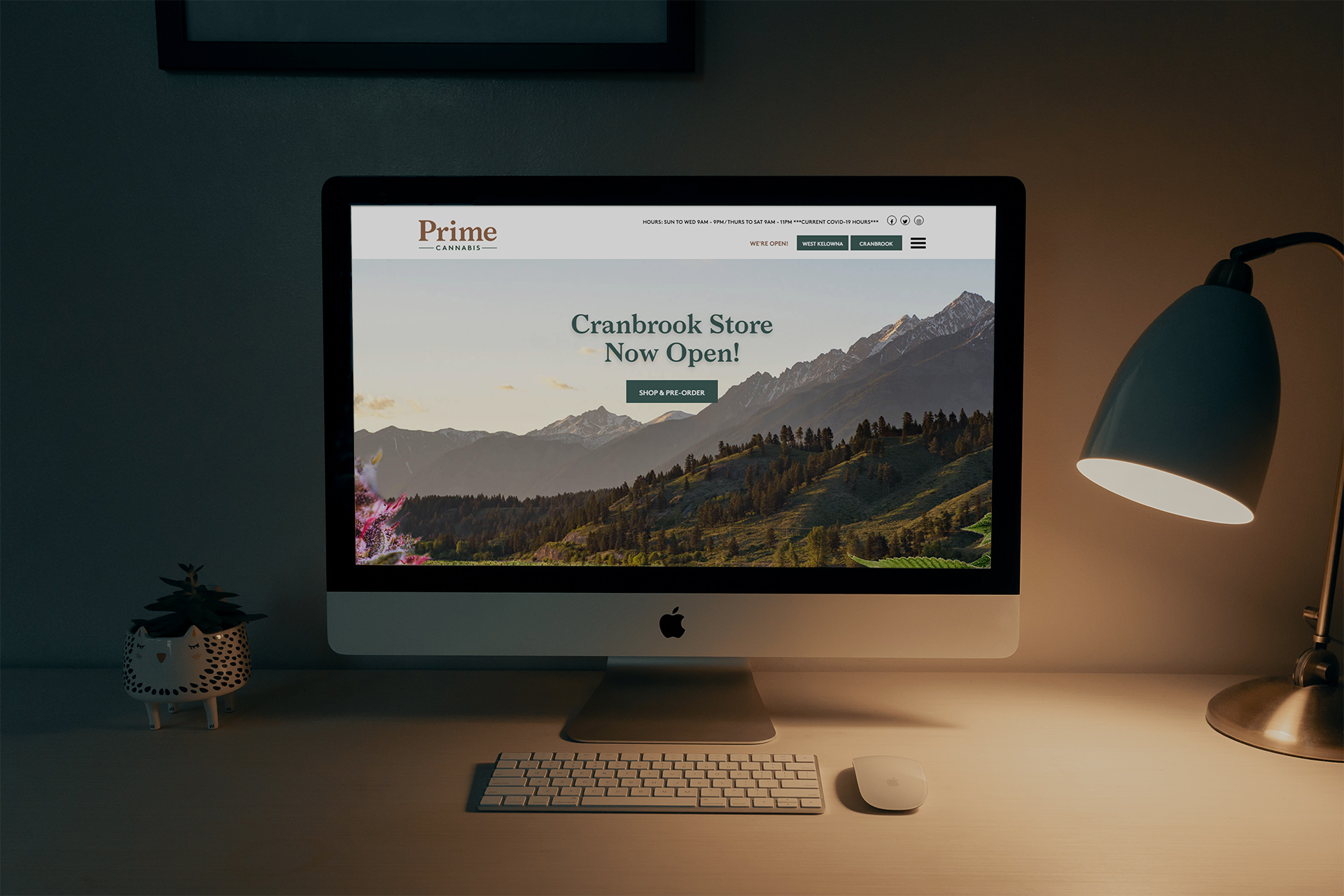 Cannabis WordPress Website