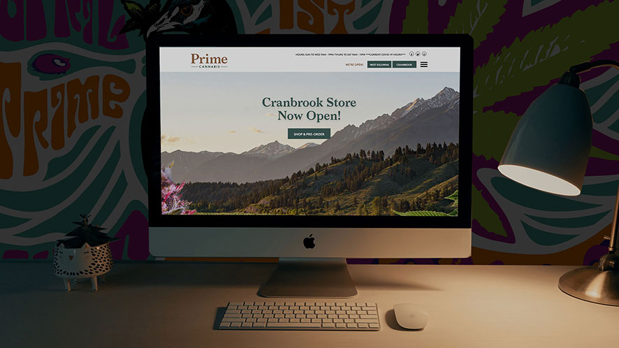 WordPress Cannabis Website