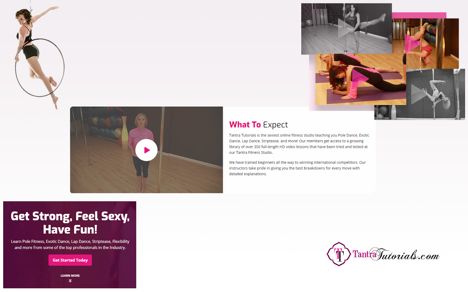 Design concepts for the Tantra Tutorials WordPress landing page.