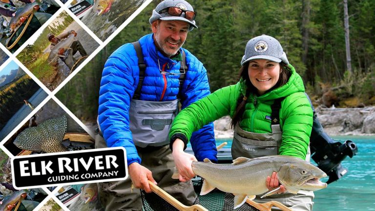Elk River’s Shopify eCommerce & WordPress Integration