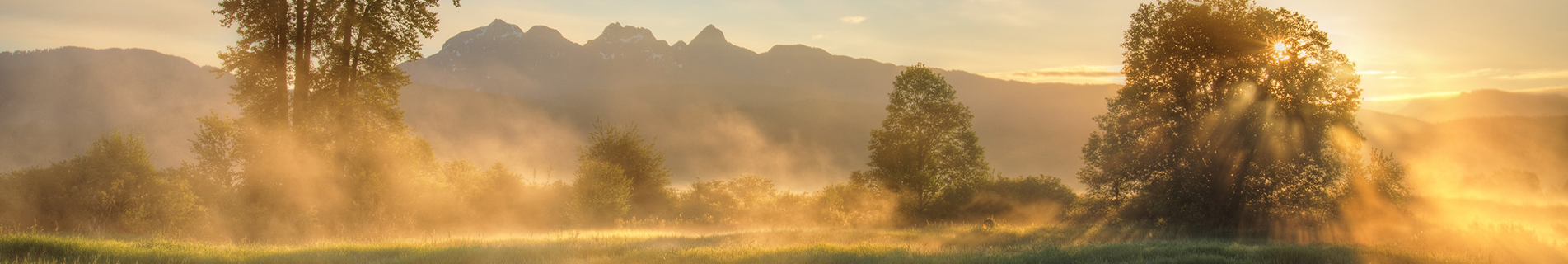 Maple Ridge Web Design