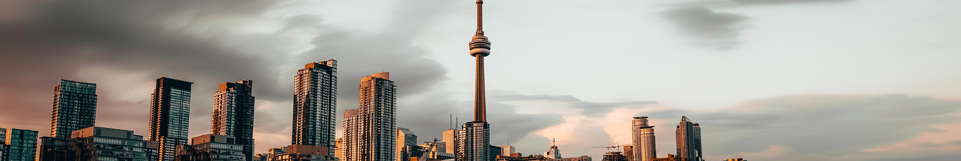 Toronto Web Design