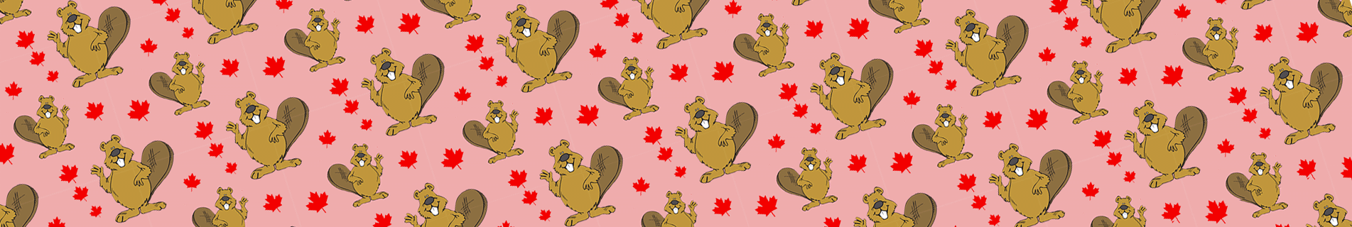 the ultimate Canadian guide to WooCommerce