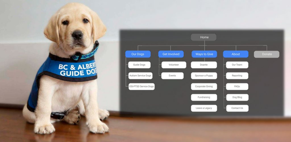 updated navigation on the BC & Alberta Guide Dogs non-profit website. 