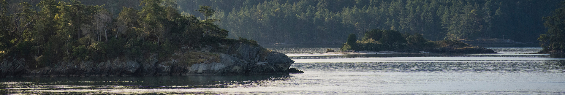 Vancouver Island Web Design